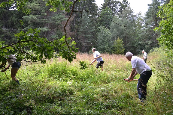 På Rölundaåsen vid Nederhassla slåttrades det för att bevara mångfalden