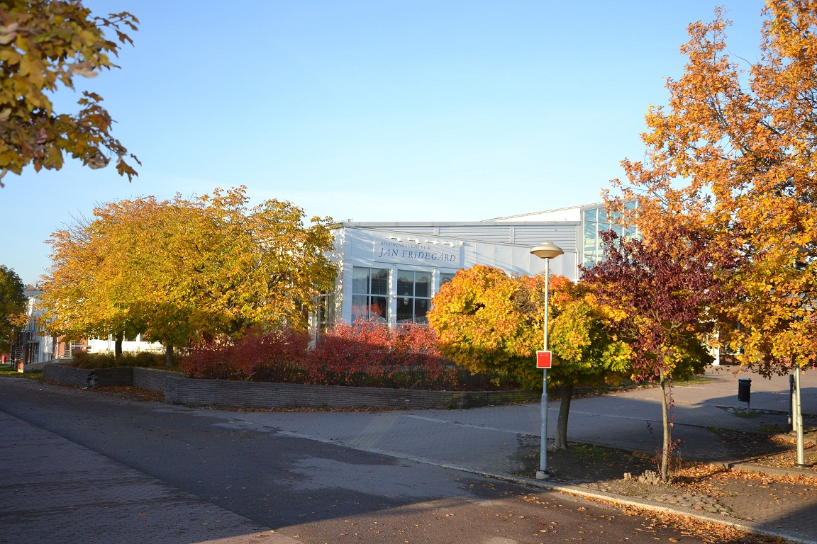 Prata i radio på Håbo Festdag