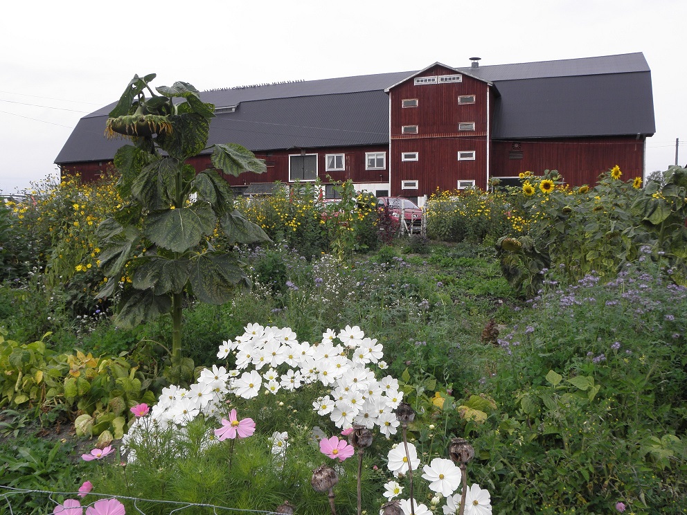 Ladan sträcker stolt på sig och visar sitt innehåll