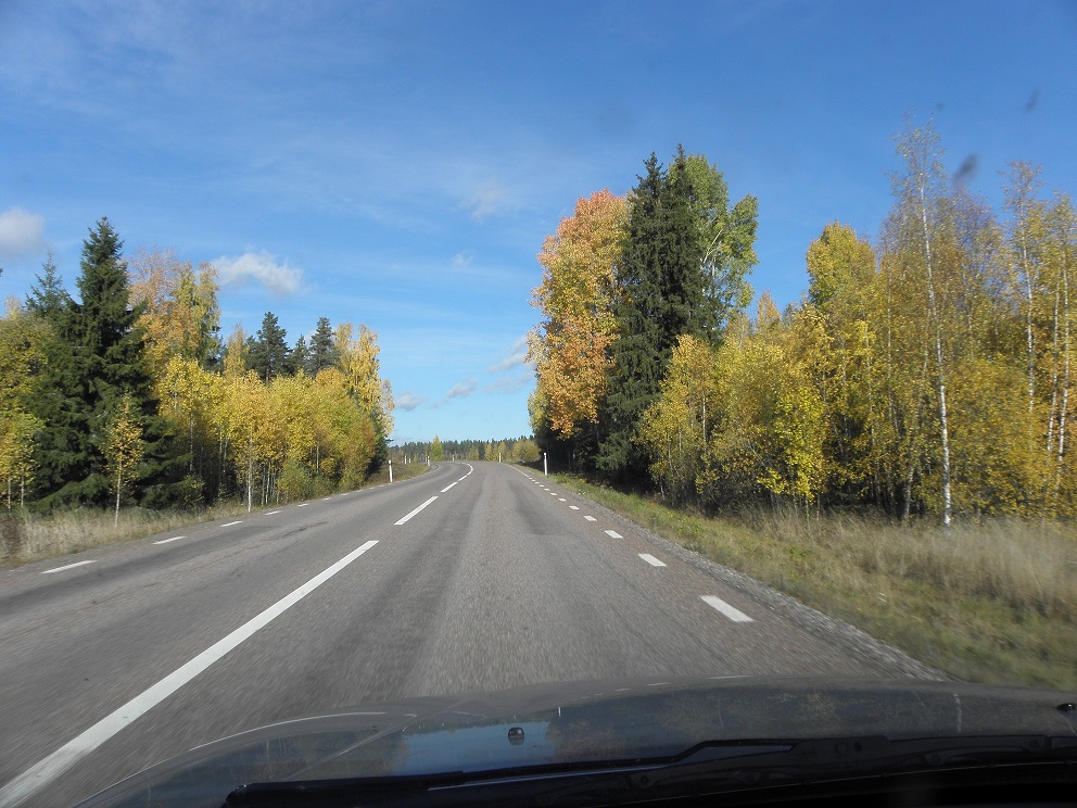 En bild genom bilrutan längs vägen