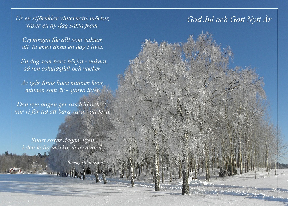En önskan om en God Jul till allt och alla