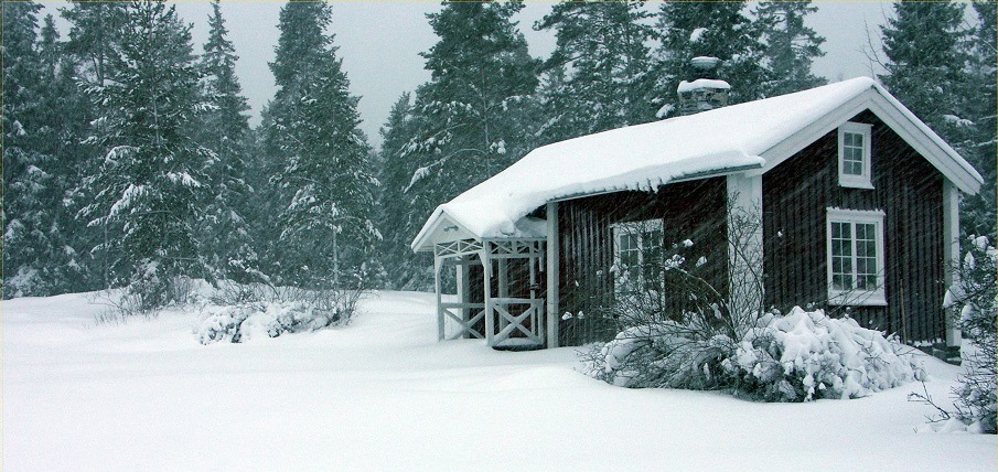 Foto: Tommy Hildorsson