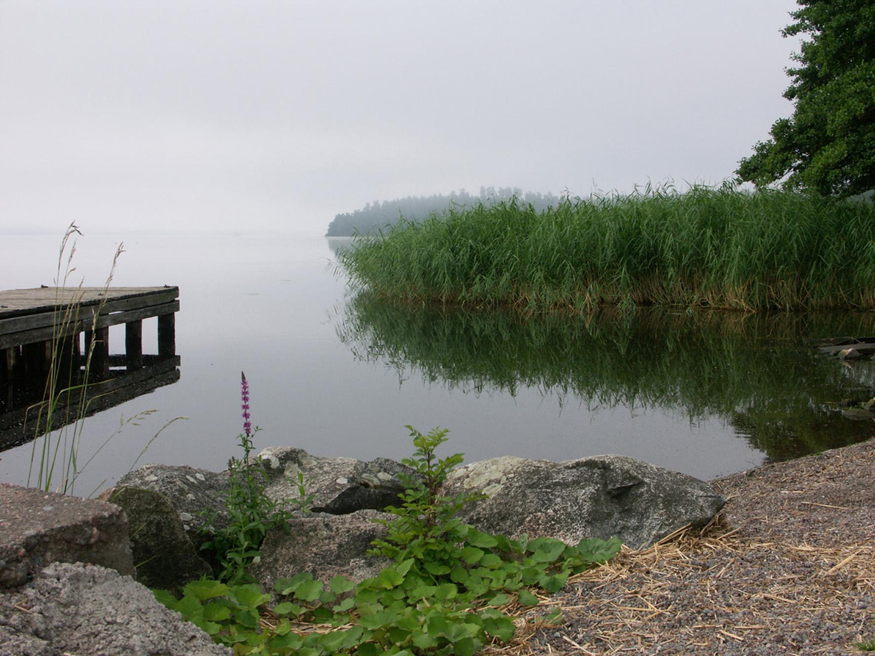 Foto: Tommy Hildorsson