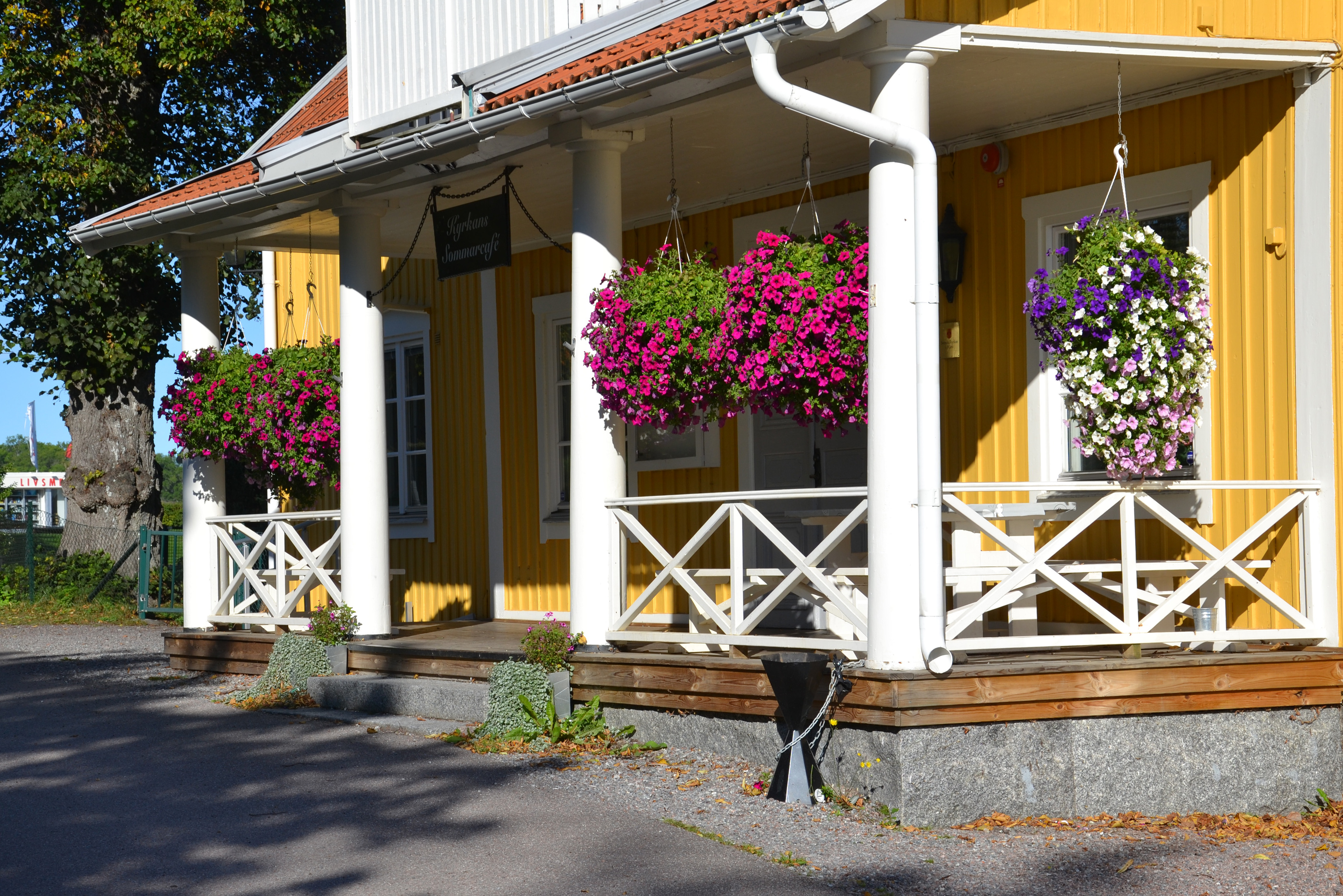 Blommorna på Sjövillans veranda väcker uppmärksamhet med sin skönhet