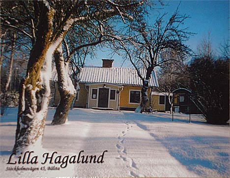 Julstämmning på Lilla Hagalund