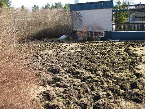 Trådgården efter besöket | Foto: Ewert Lindström