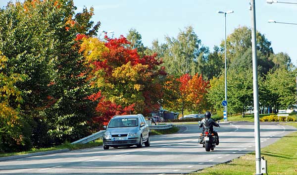 Stationsrondellen | Foto: Rolf Adolfsson
