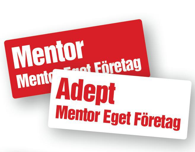 Almi Mentor Eget Företag