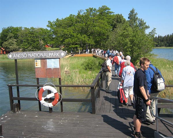 Efter en härlig sjötur på 2,5 timmar var vi så framme vid målet för vår utflykt - Ängsö | Foto: Bo Hansson