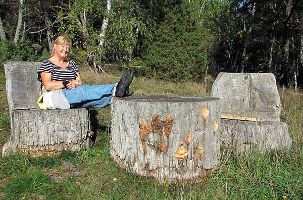 Dukat o klart | Foto: Siv Sköld