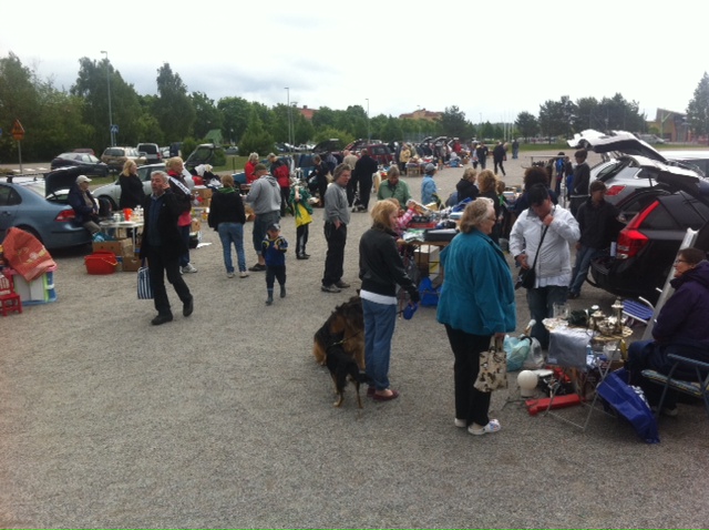 Bakluckeloppis på Gröna Dalens IP | Foto: Attila Gal