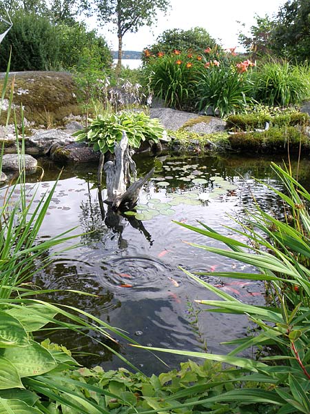 Låt oss vårda den oas där vi befinner oss några år | Foto: Tommy Hildorsson