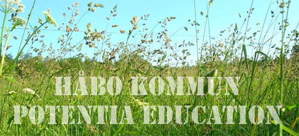 Håbo kommun säljer mark i Dalängen till Potentia Education AB