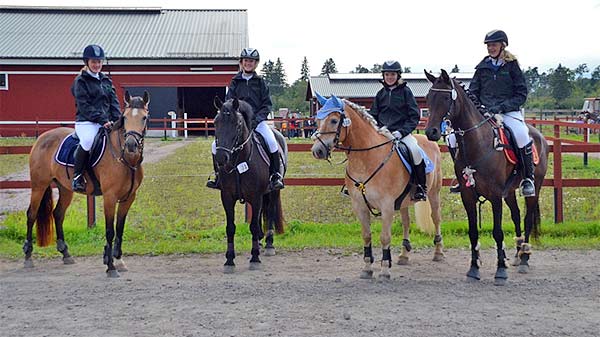Team Håbo, anno 2011 Fr. vänster, Gabbi och Fia. Elli och Zoega. Charlotte och Strike samt Nora och Hedjaze.