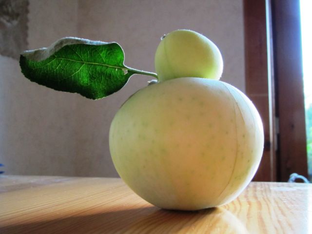 Foto: Siv Sköld