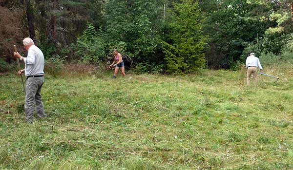 Hans Söder, Ragnhild Karlsson och Magnus Nobel | Foto: Håkan Nihlman