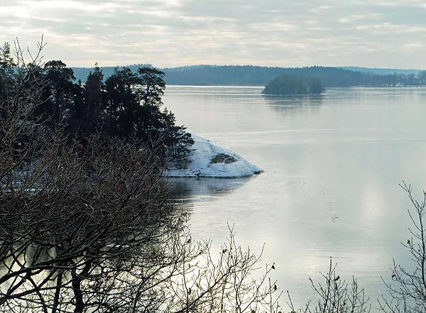 Ny blankis på Mälaren | Foto: Rolf Adolfsson