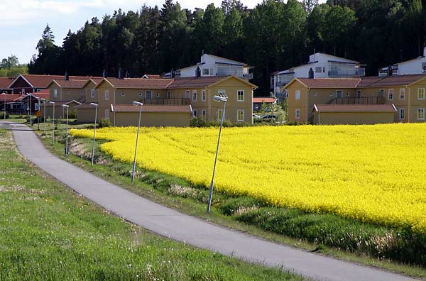 Boendemiljö i Håbo | Foto: Attila Gal (arkiv)