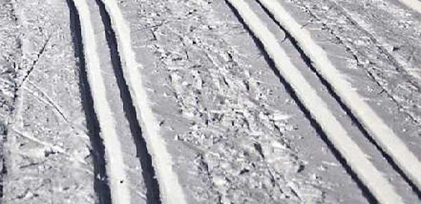 Foto: Skokloster Sportklubb