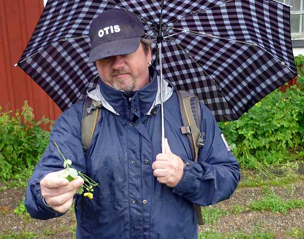 Thommy Åkerberg berättar om skelörtens läkande egenskap | Foto: Håkan Nihlman