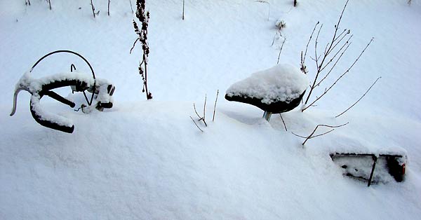 Illustration: Attila Gal