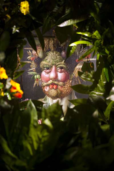 Lasse Åbergs val: Målning av Arcimboldo | Foto: Jens Mohr