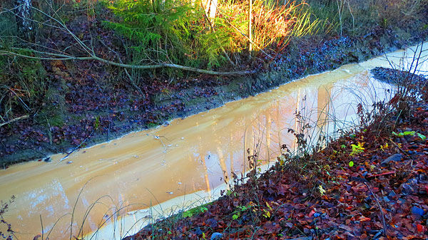 Industriutsläpp i Västerskog | Foto: Rolf Adolfsson