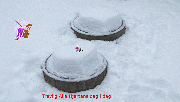 Snöhjärta | Siv Sköld