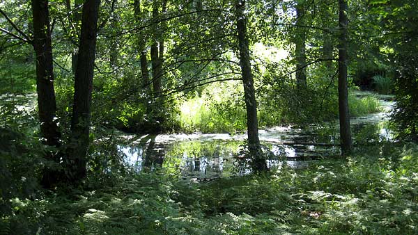 En sömmargrön stationspark i gamla Bålsta | Foto: Attila Gal
