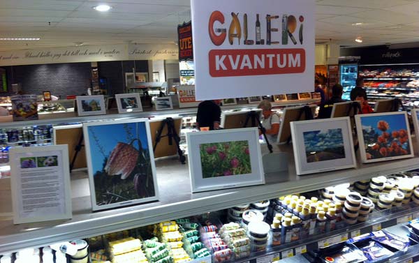 Ny utställning i Galleri Kvantum, med Siv Sköld | Foto: Attila Gal