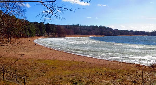 Foto: Rolf Adolfsson