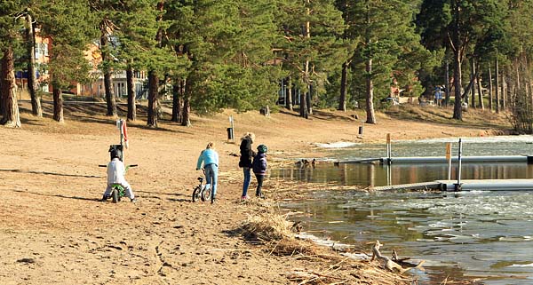 Foto: Rolf Adolfsson