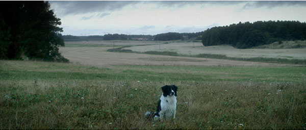 Långfilmen ”Lamento” filmad till stora delar i Bålsta