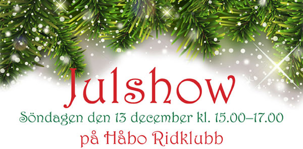 Julshow på Håbo Ridklubb