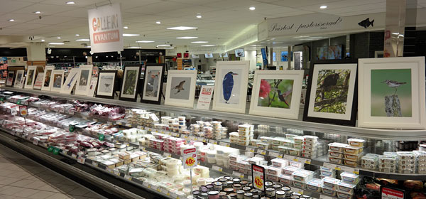 Fotoutställning i Galleri Kvantum