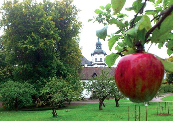 Äppeldag på Skoklosters slott