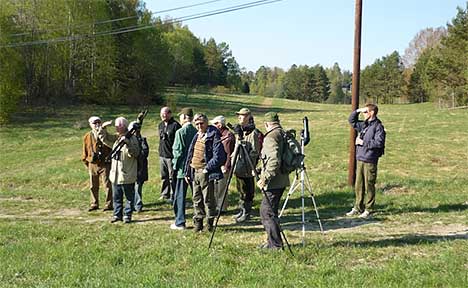 Foto: Håkan Nihlman